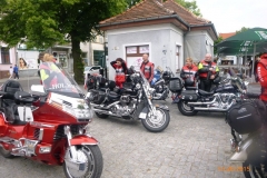 gorzno_xxx_282