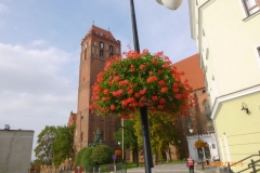 p1120939