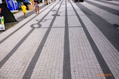 P1190455
