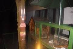 P1200046