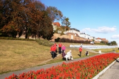 P1200167