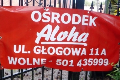 p1150469