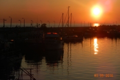 dscn7551