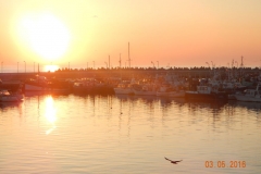 dscn7552