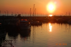 dscn7554