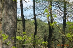 dscn7570