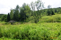 p1180688