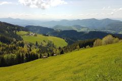 20170516_110815