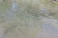 20170530_094833