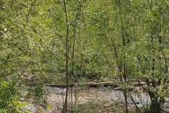 20170530_095409