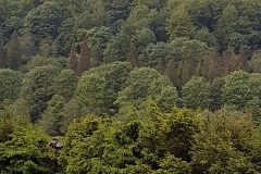 20170530_194302