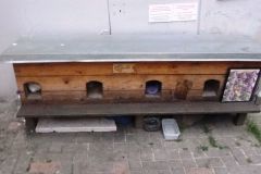 p1250070