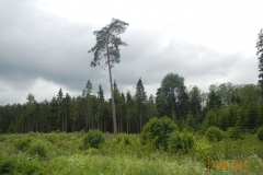 DSCN0818
