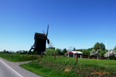P1020894