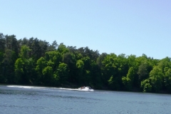 P1030407