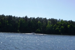 P1030438