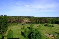 P1030536