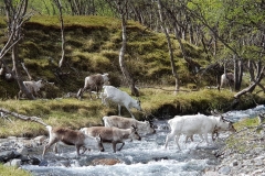 Skandynawia-0089