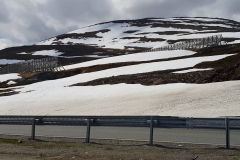 Skandynawia-0114