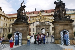 P1050388