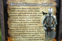 p1100053
