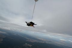 img_0737-copy
