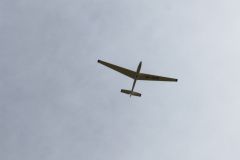 img_8165