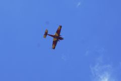 SONY DSC
