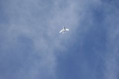 SONY DSC