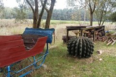 img_20221001_163322