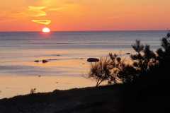 img-20230506-wa0215