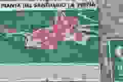 441158934_7474671039234842_128881295373606054_n