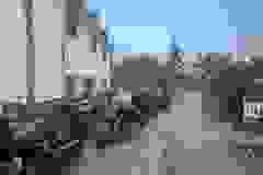 443719214_10234395602495598_3193499514194842737_n-1