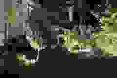 445096127_10234395602775605_5029083169125840479_n