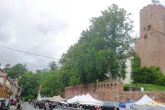 p1200213