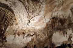img-20240824-wa0042