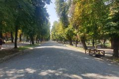img-20240830-wa0050