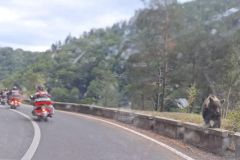img-20240831-wa0064