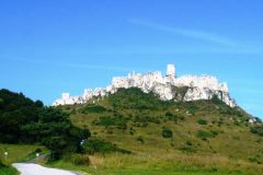 p1200339