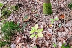 img-20241005-wa0020