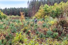 img-20241005-wa0030