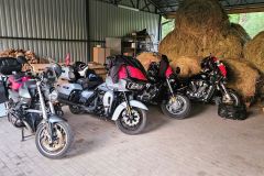20250523_202019