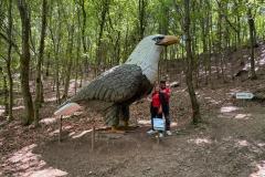 img-20250621-wa0051
