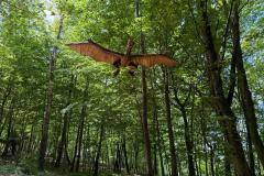 img-20250621-wa0052